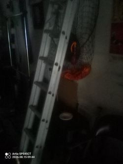 20 foot long lader aluminum stretches out .
