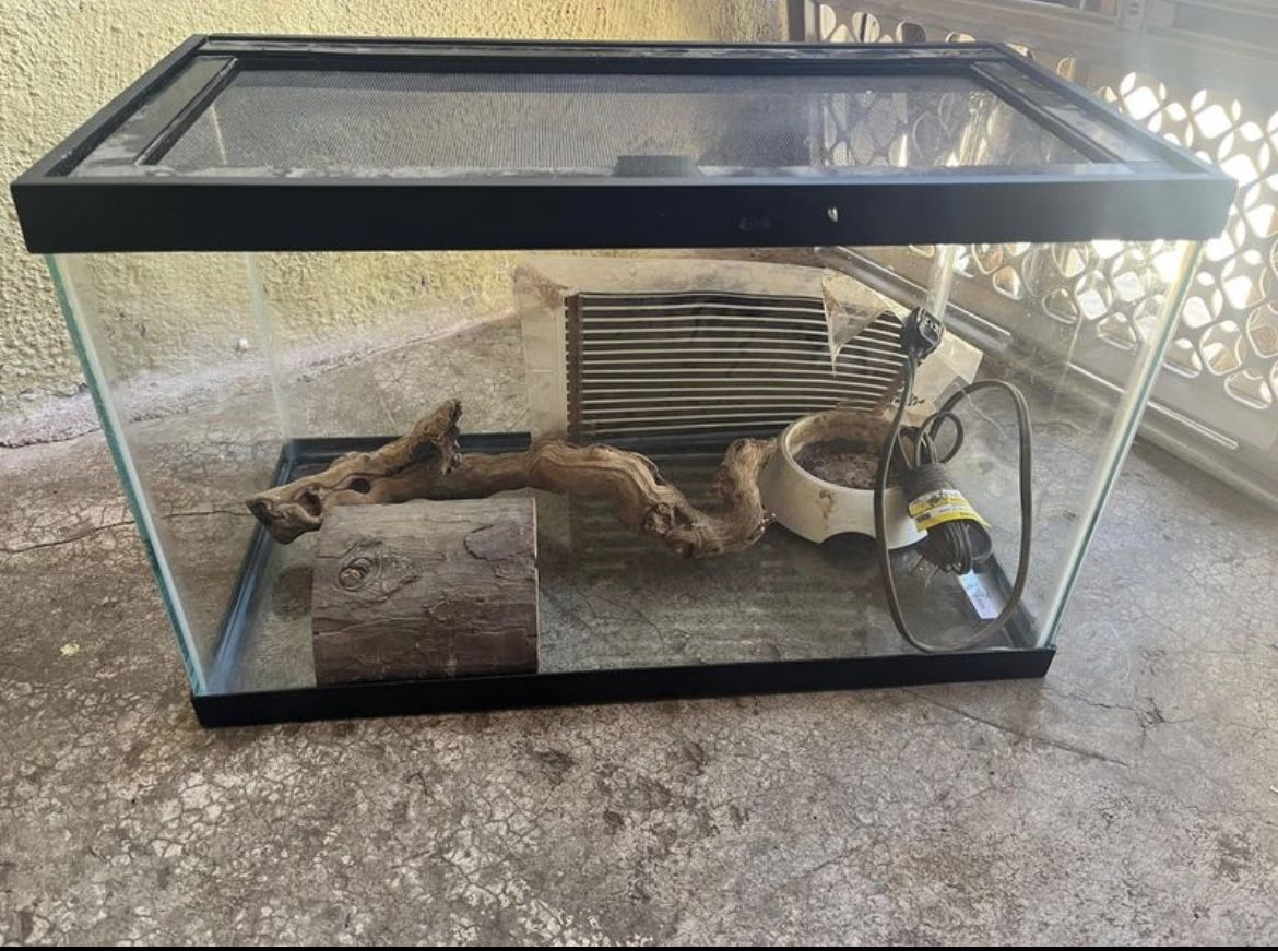 Reptile Tank