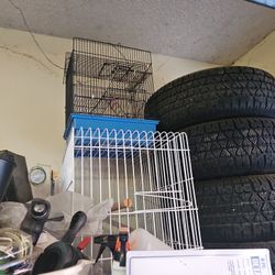 Bird Cages