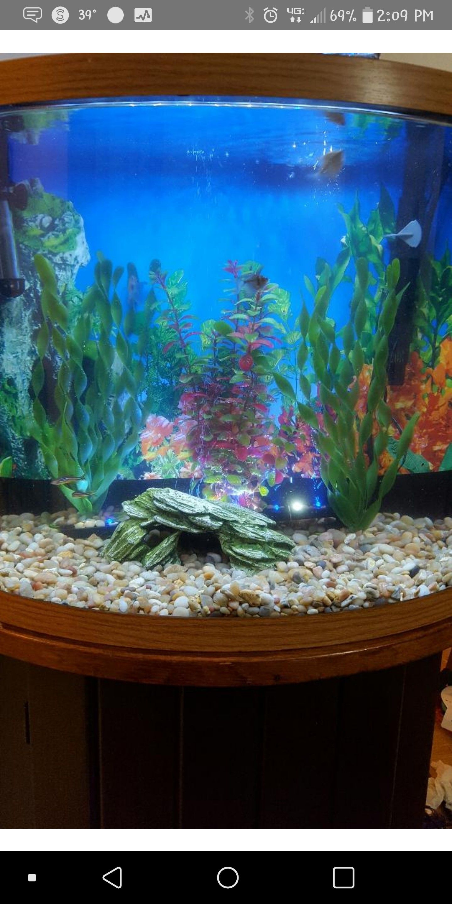 32 Gallon Half Moon Fish Tank