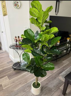 Pretty Artificial Plant Fig Tree 5 Ft Tall comes With Planter  ! Brand New