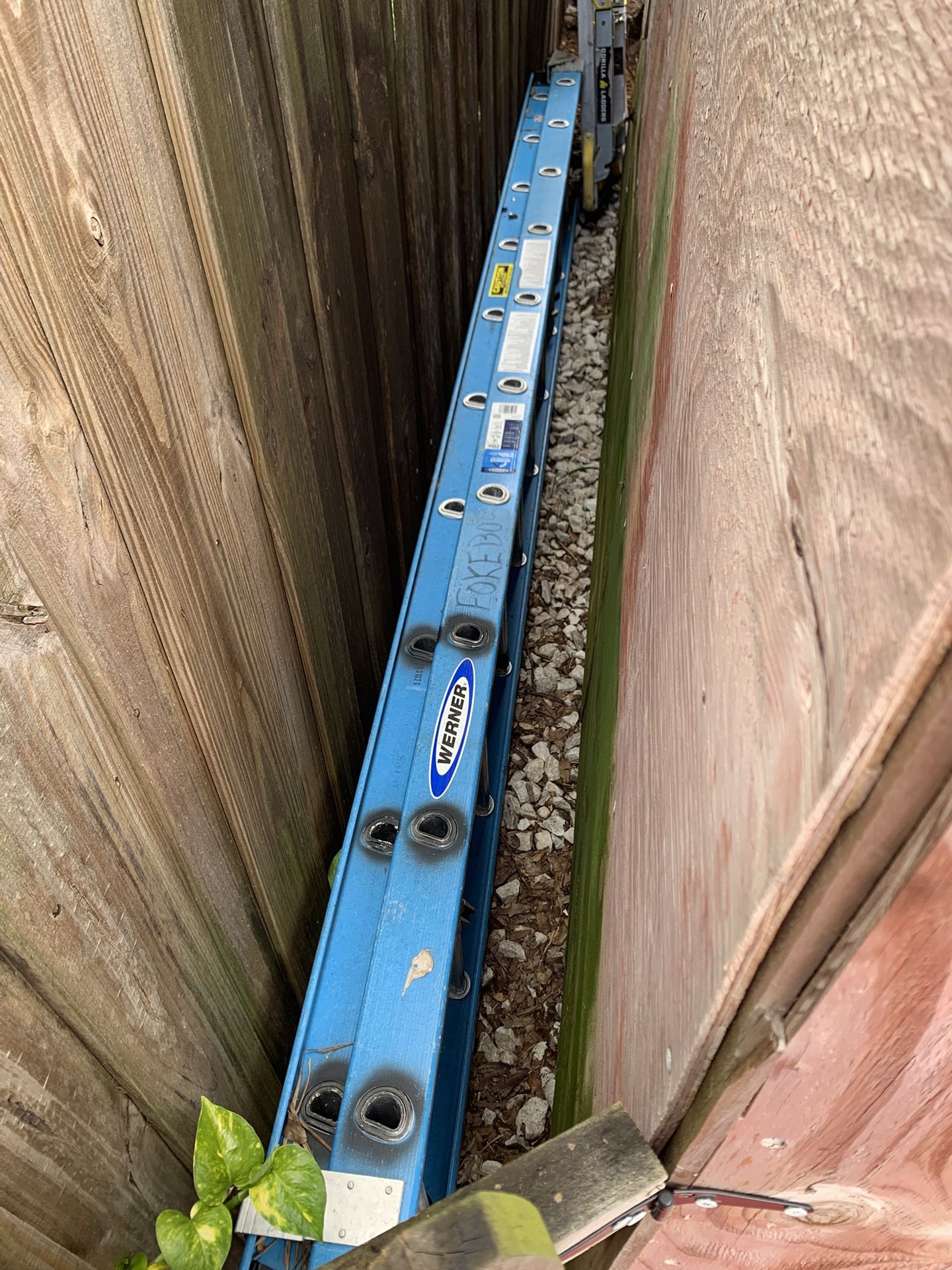 20’ Ladder