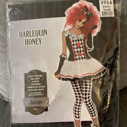 Halloween Costume 