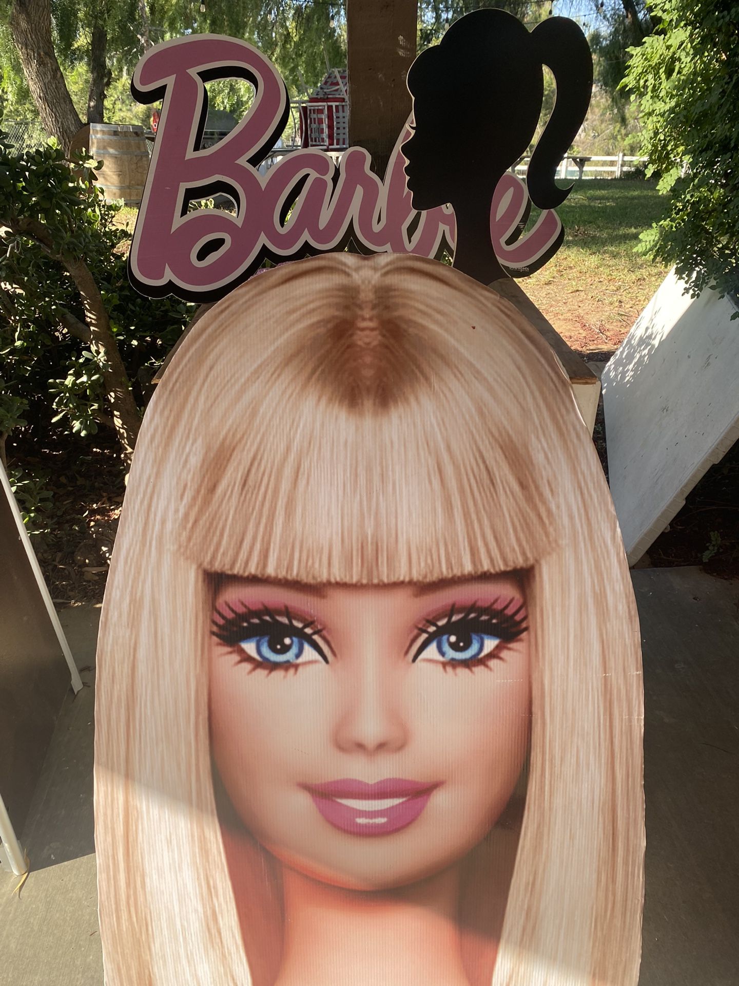 Barbie Party