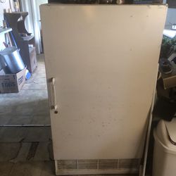 Old Upright Freezer