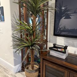 Artificial Plant- Pot Not Included