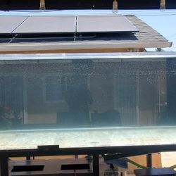600 Gallon Acrylic  Aquarium/Fish Tank