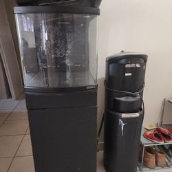 Salt Water Fish Tank