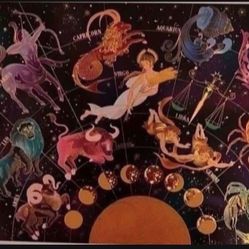 Puzzle New - Pickup From Northridge Area