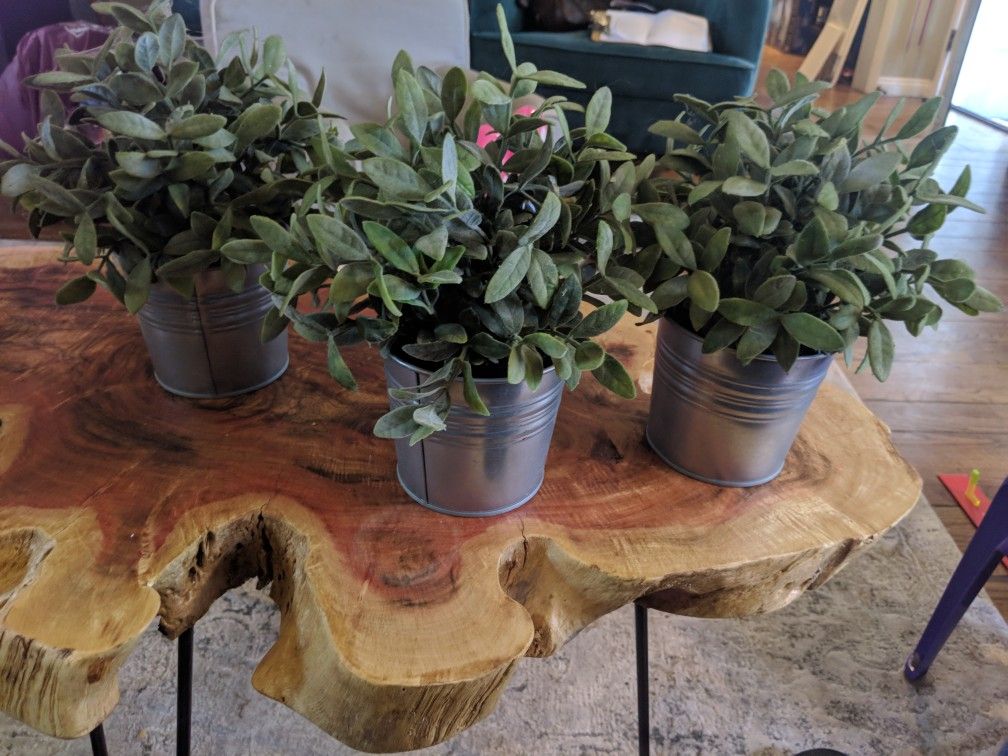 Fake plants with tin basket