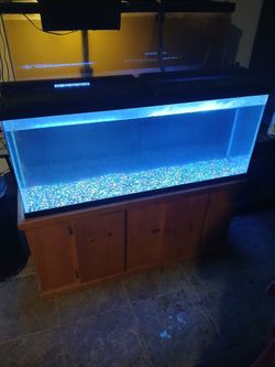 55 gallon aquarium plus stand
