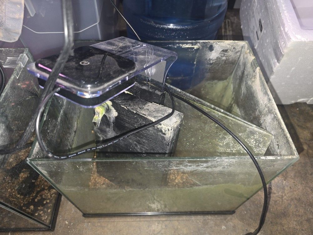 USED 3 Gallon Fish Tank ( Comes With FREE 2nd 3 Gallon Tank) 