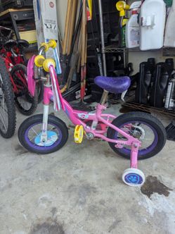 12-inch Pink Paw Patrol Bicycle with Training Wheels