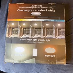 ceiling light
