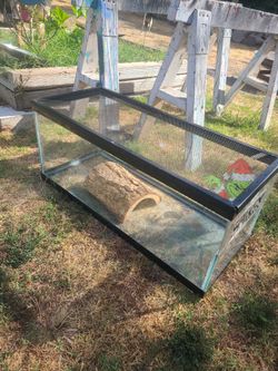 Bearded dragon enclosure