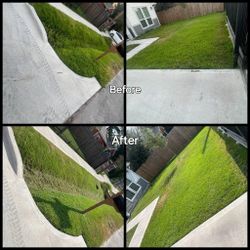 Home And Garden