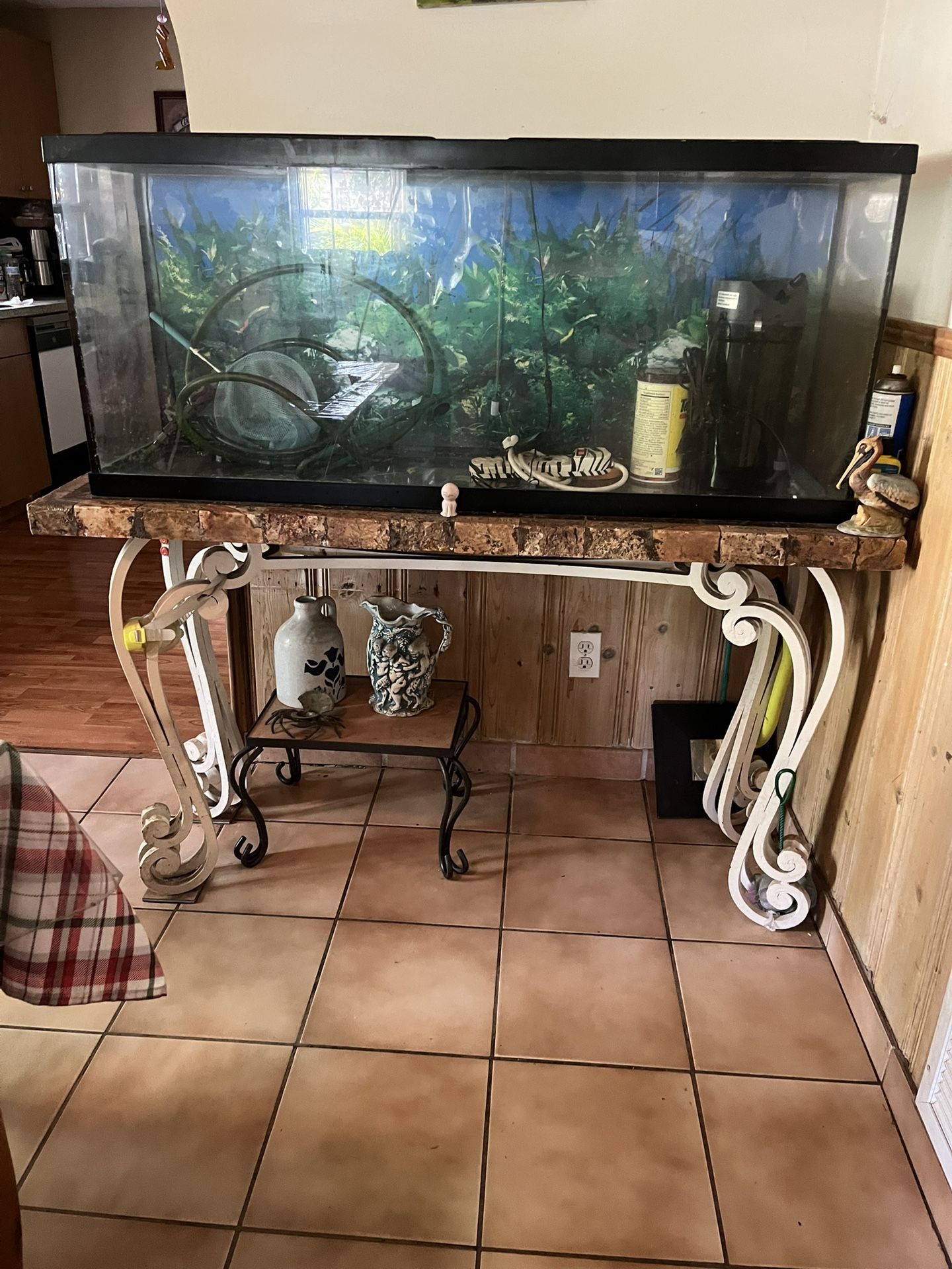 Fish Tank