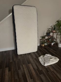 Bear Twin XL Mattress – Split King Half + Mattress Protector – Excellent Condition