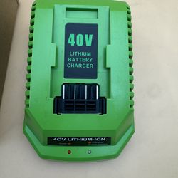 GW40V-CHG Green Black 40 Volt Lithium-Ion Battery Charger R2 (no Cord)