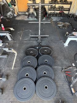 Rogue bumper weights 250lbs total plus rogue weight tree