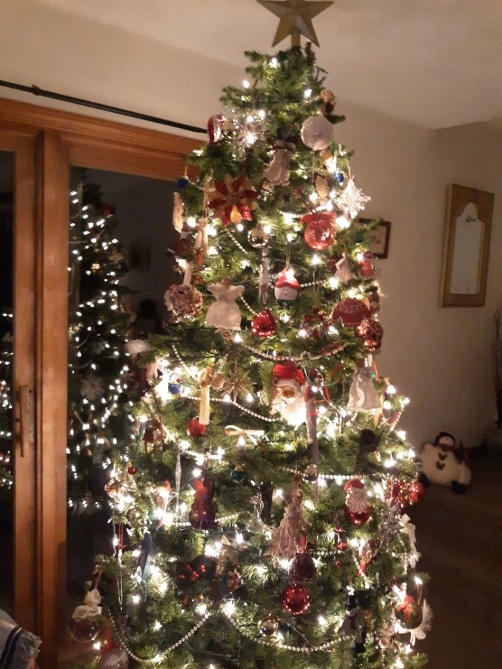 7 FT. ARTIFICIAL XMAS TREE WHITE LIGHTS ATTATCHED LOOKS REAL