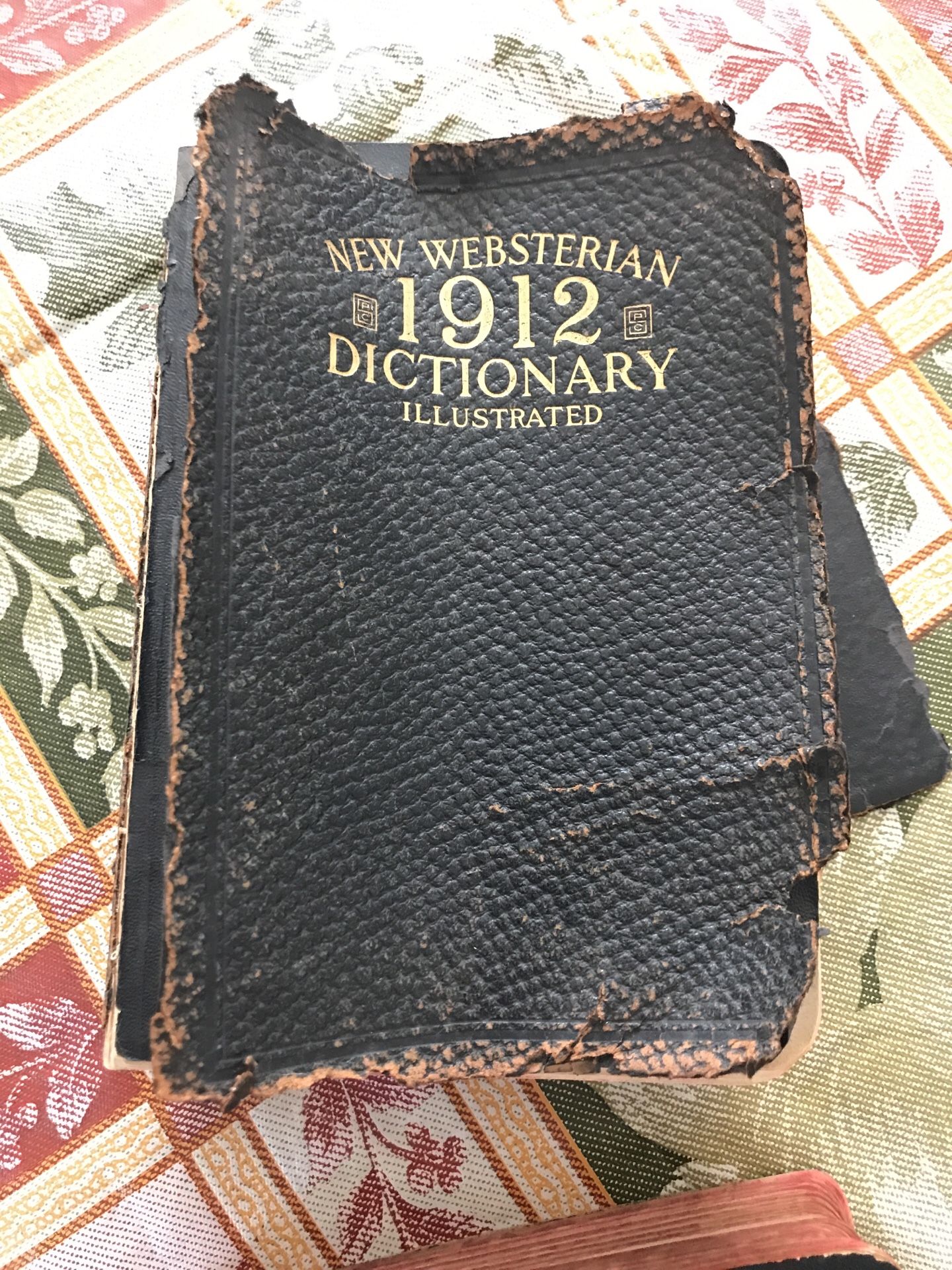 New Websterian 1912 Dictionary Illustrated