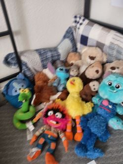 all different kinds of Teddy bears
