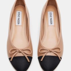Shoes Steve Madden