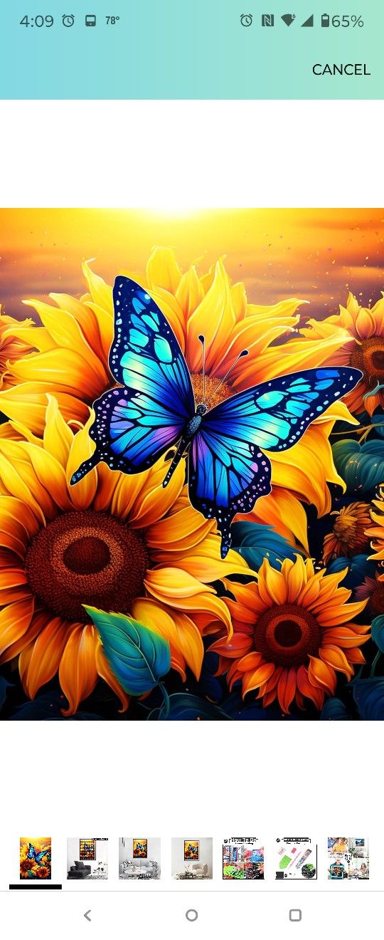 Multiple Exercise Equipment From Elliptical To Weights