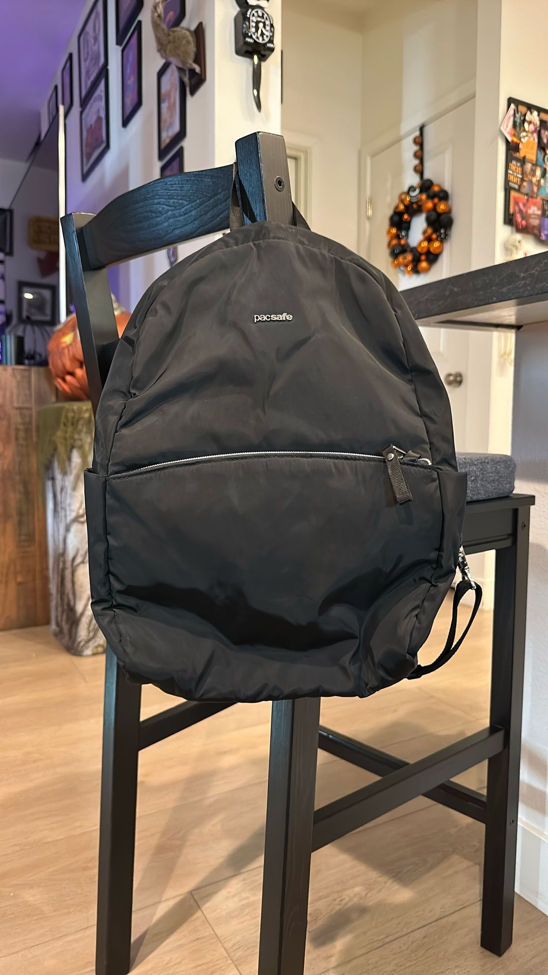 Pacsafe Backpack