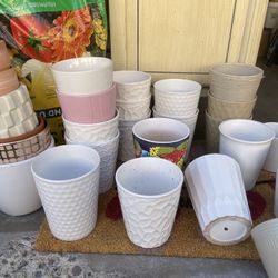 White Pots For Plants 