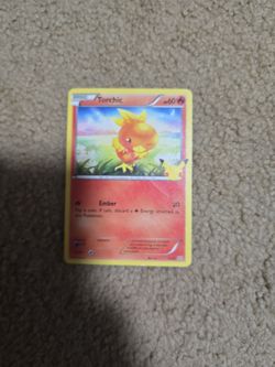 Torchic Pokémon