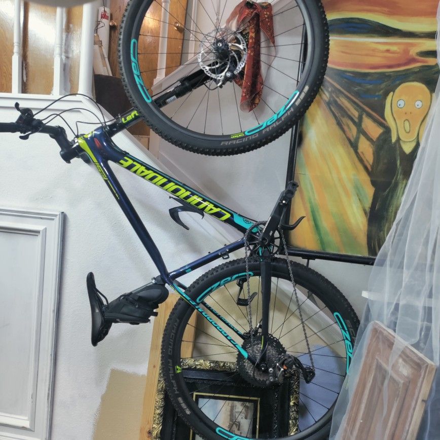 Cannondale Carbon Fiber 2 Lefty