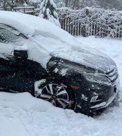 Universal Snow Chains - New, Unused 