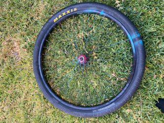 Gt rim and Maxxi hookworm back wheel
