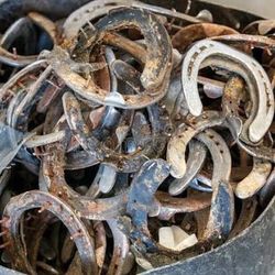 Horse Shoes