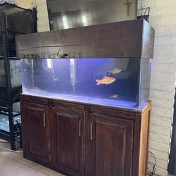 Fish tank aquarium acrylic 120  gallon