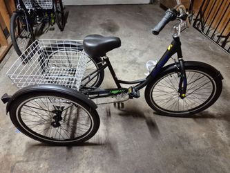 Tricycle bike