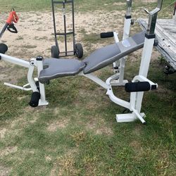 Weight Bench 