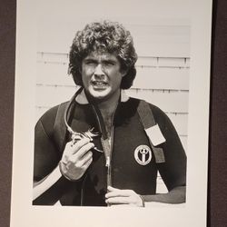 David Hasselhoff Knight Rider TV Star Portrait Actor 8x10 Glossy Vintage Still Photo Picture Collectible