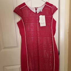 Blush Dress