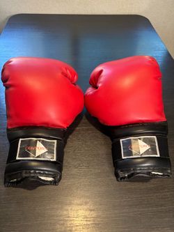 Century 16OZ Boxing gloves