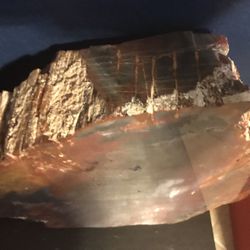 Large beautiful petrified wood fossil   Decor