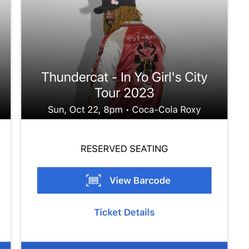 Thundercat concert Ticket