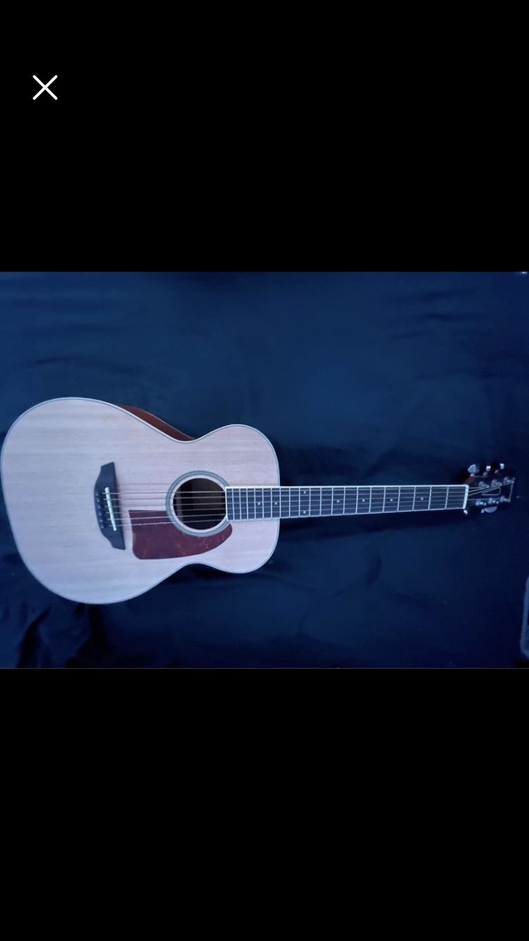 Orangewood Dana-s Guitar