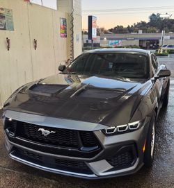 24 mustang carbon GTD hood