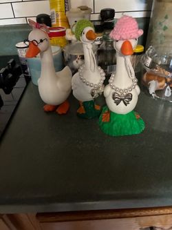 Roasters for outside and desk gooses with outfits