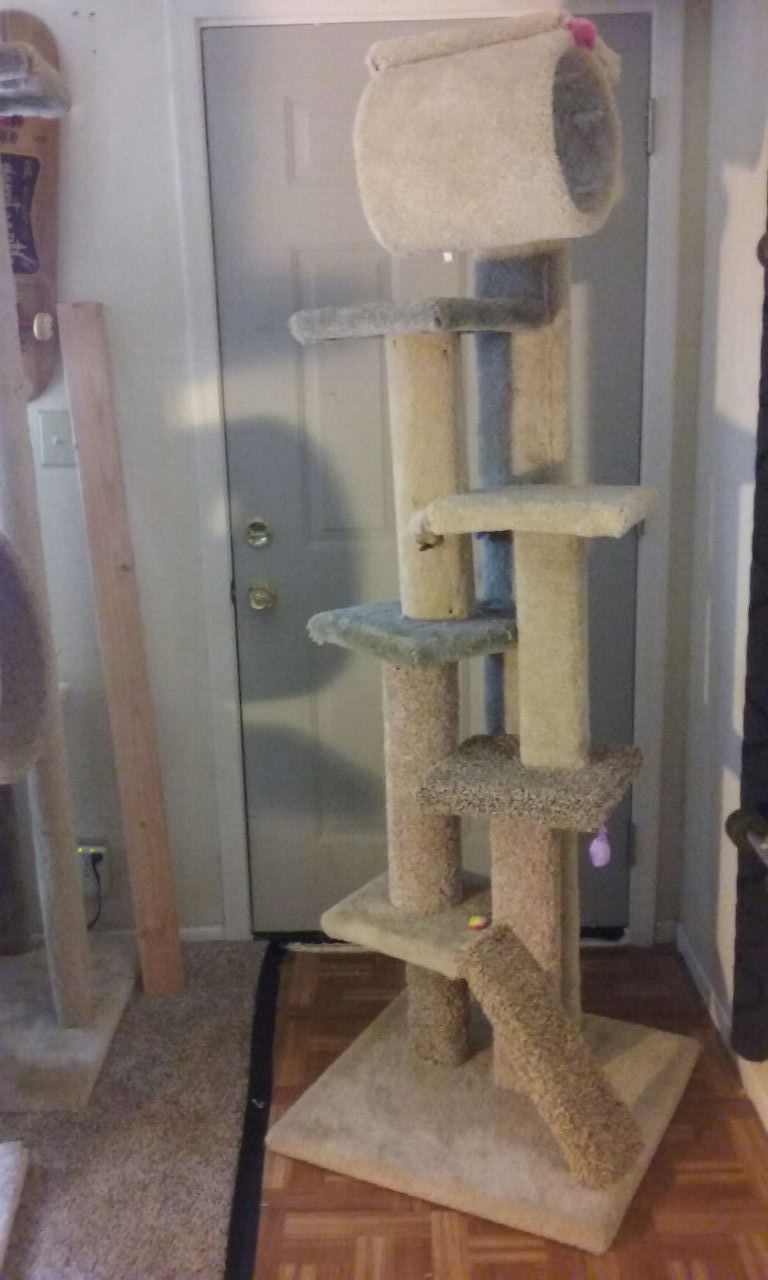 Cat Tower Cat Tree Cat Condo For Sale In Tempe Az Offerup