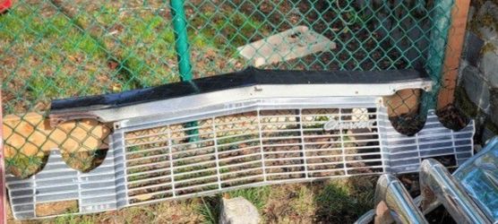1965 Biscayne Hood And Trunk Lid And Grill