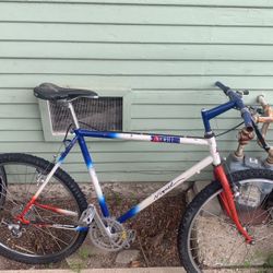 Vintage Asahi Mountain Bike